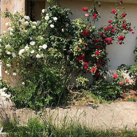 شقة Le Jardin Suspendu Rillieux-la-Pape المظهر الخارجي الصورة
