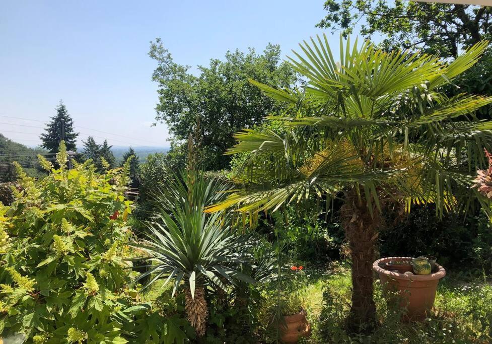 شقة Le Jardin Suspendu Rillieux-la-Pape المظهر الخارجي الصورة
