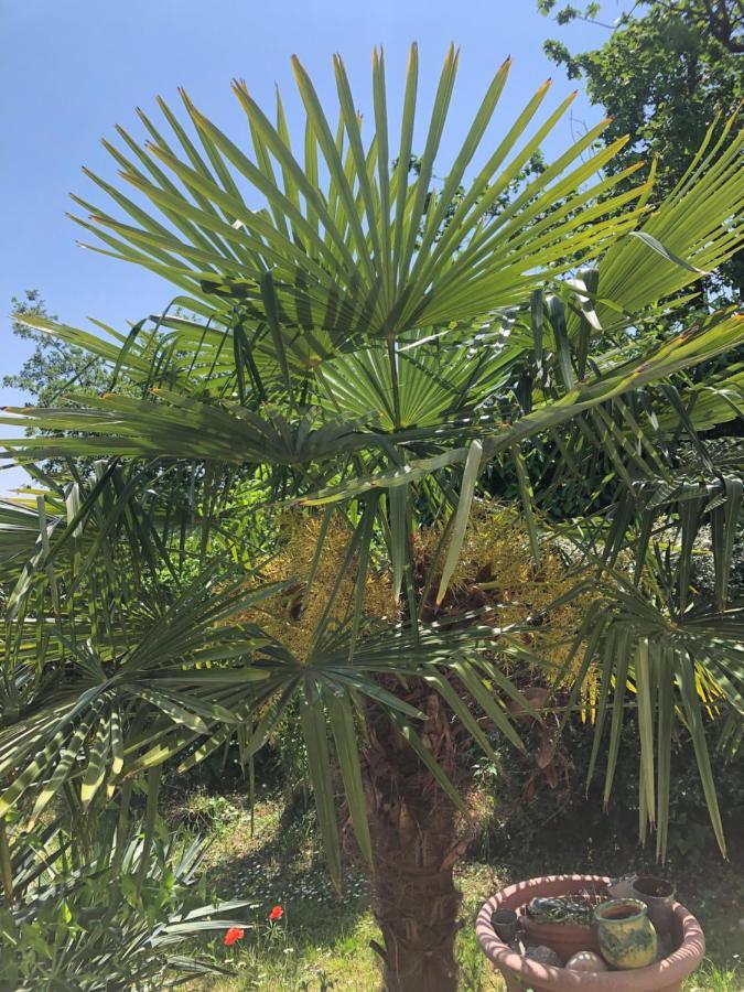 شقة Le Jardin Suspendu Rillieux-la-Pape المظهر الخارجي الصورة